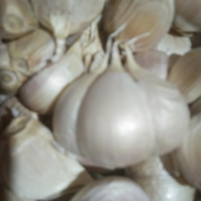 

bawang putih kating bersih 1 kg
