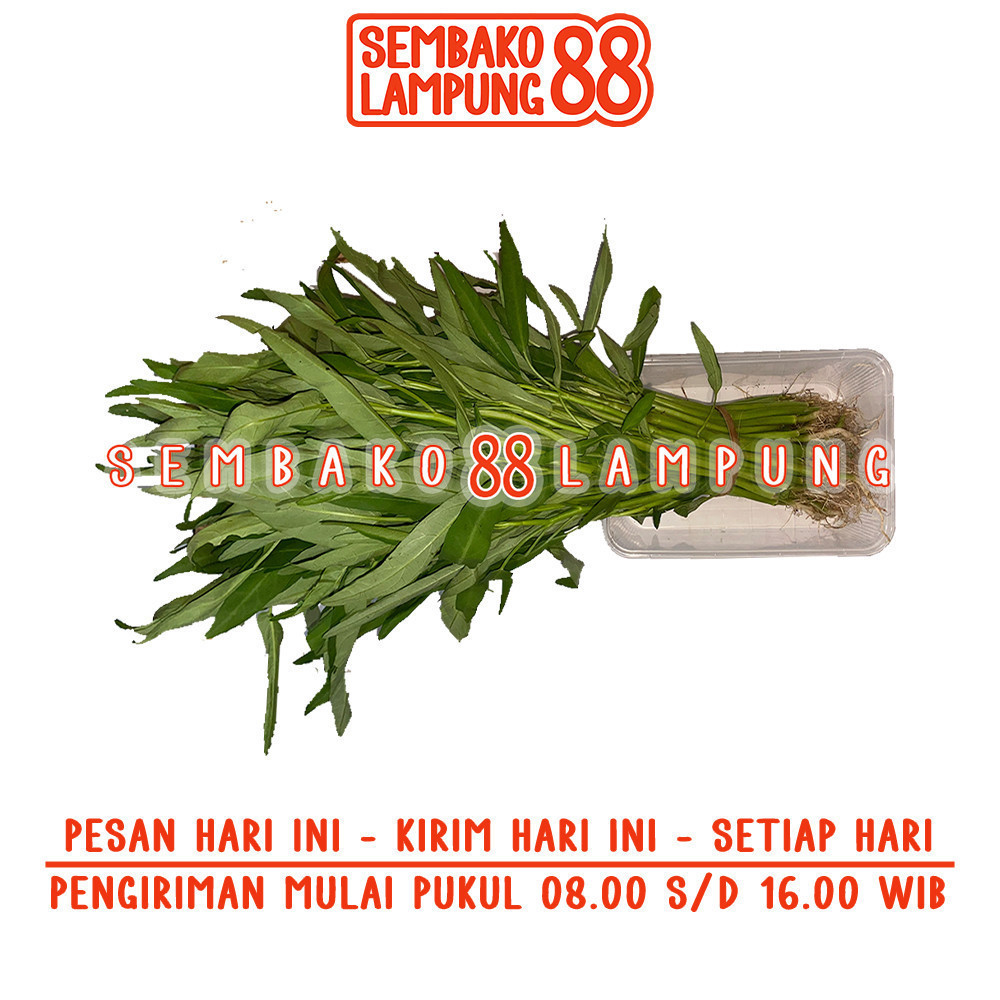 

Kangkung 1 Ikat | Sembako Lampung 88