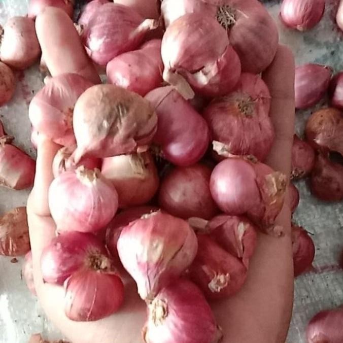 

TERLARIS Bawang Merah Kecil 500 Gr Asli Nganjuk - Shuffel MURAH
