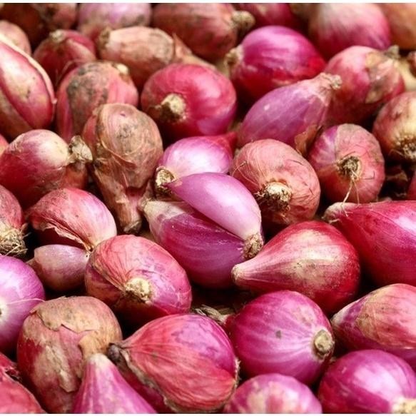 

Bawang Merah Sedang 1 Kg Berkwalitas Kering Barbosa