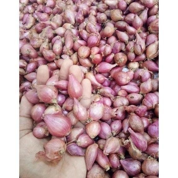 

TERMURAH Bawang Merah Besar 150 Gr | Sedang 200 Gr | Kecil 350 Gr Kering - BAGUS