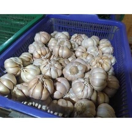 

BERKUALITAS Bawang Putih Kating 500Gr + Bawang Putih Sinco 500Gr Bonus Cabe 150Gr MURAH