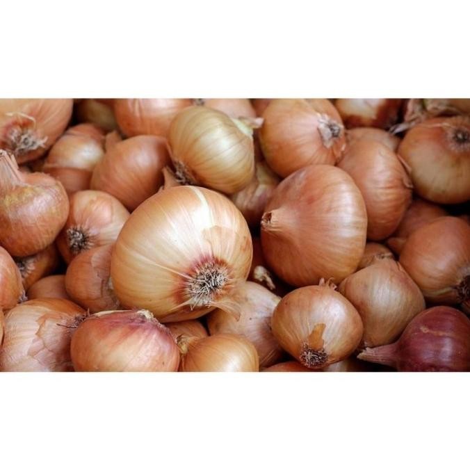 

BERKUALITAS Bawang Bombay Isi 250 Gr Fresh Dari Petani - Shuffel MURAH
