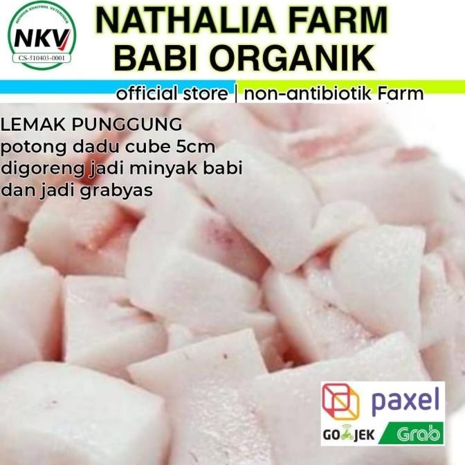 

TNFK 500gr - Lemak Punggung Minyak Babi BackFat - Nathalia Farm