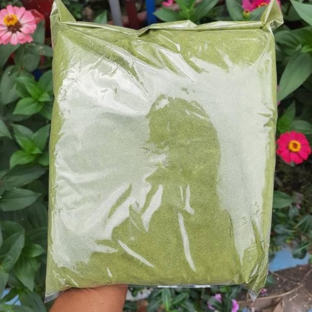 

BUBUK SERBUK DAUN KELOR 500 GRAM SETENGAH KG RO50