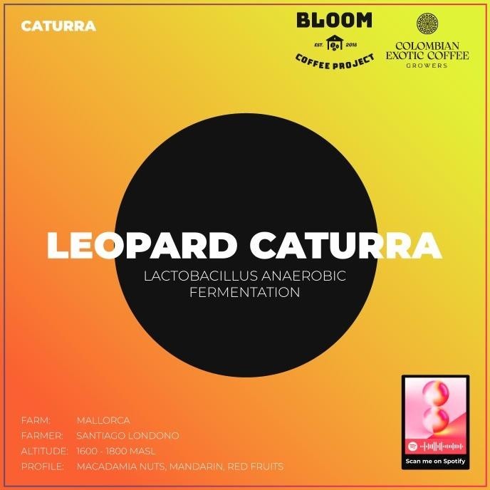 

Cec Versatile Collection - Colombia 'Leopard Caturra' Anaerobic Washed