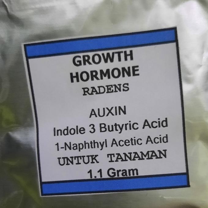 Hormon ZPT Pupuk AUXIN Indole 3 Butyric Acid IBA dan NAA