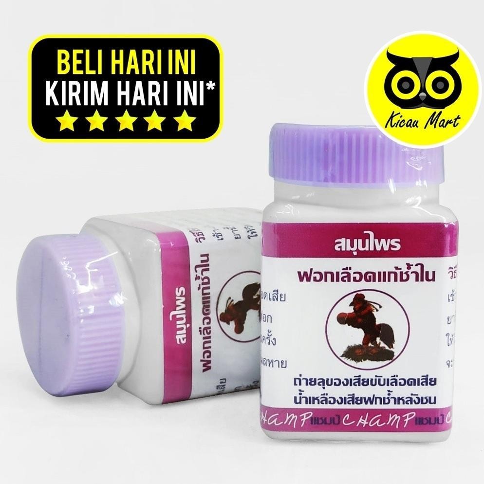 6.6 Champ Obat Luka Dalam Ayam Jago Obat Kering Champ Kapsul Ayam Jago Bangkok Pasca Tarung Obat Luk