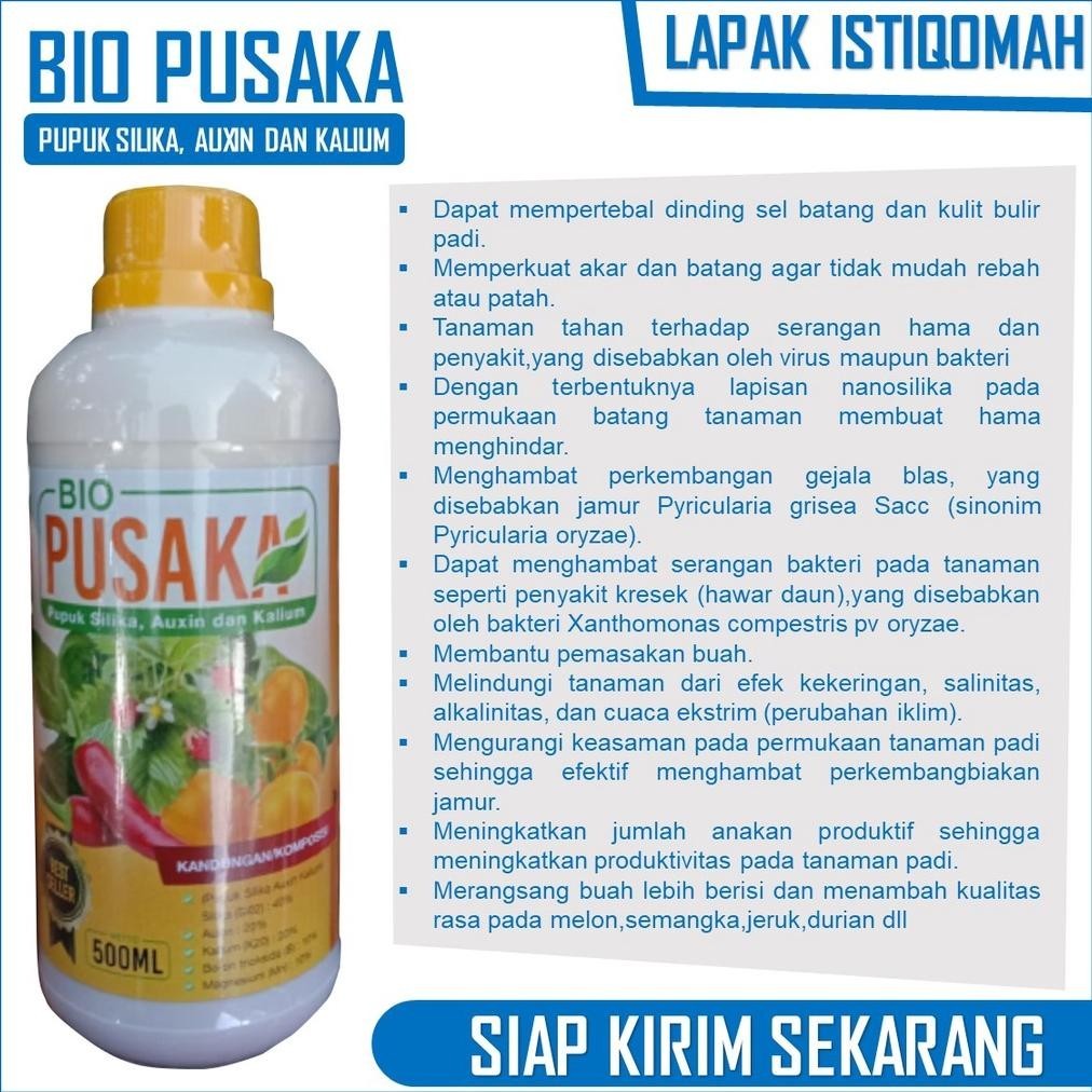 SALE PUPUK BIO PUSAKA Anti ASem-Aseman Padi isi 500 ML Pupuk Pembasmi Asem-aseman padi manjur Obat P