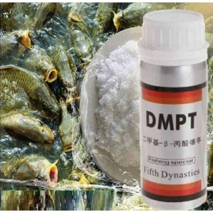 Aroma Menarik Ikan Fangqier Original - Dmpt