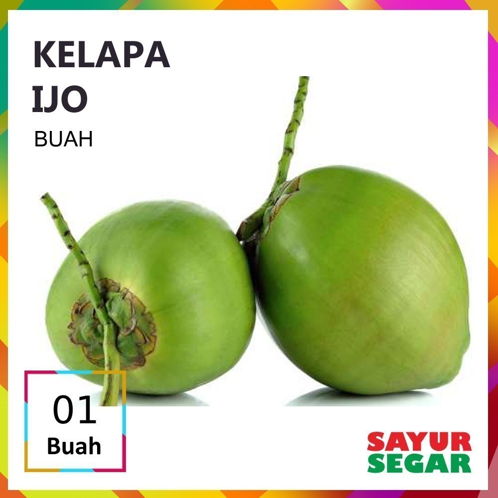 

Kelapa Hijau 1 Buah Fresh