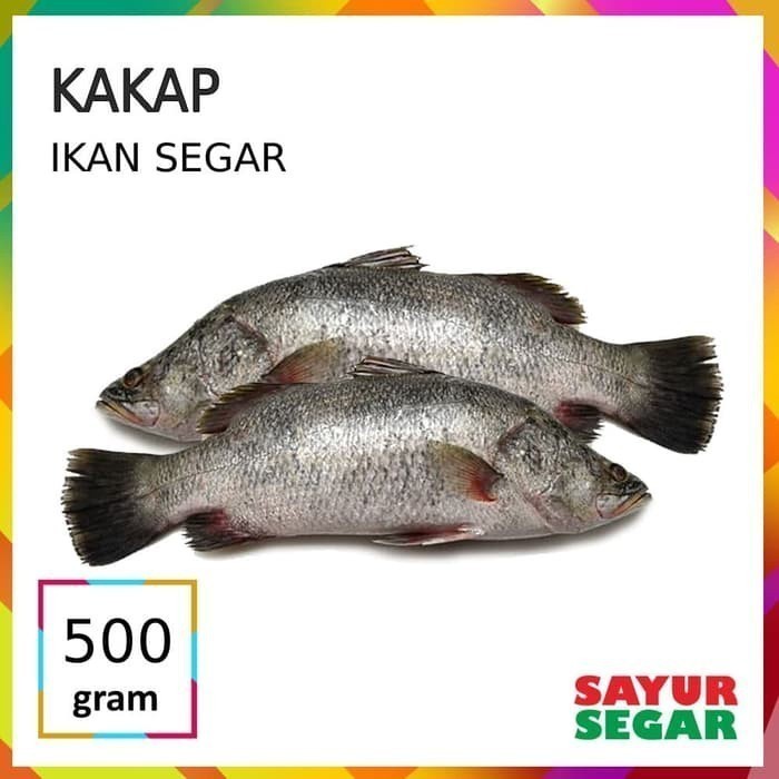 

Ikan Kakap Hitam 500G Fresh