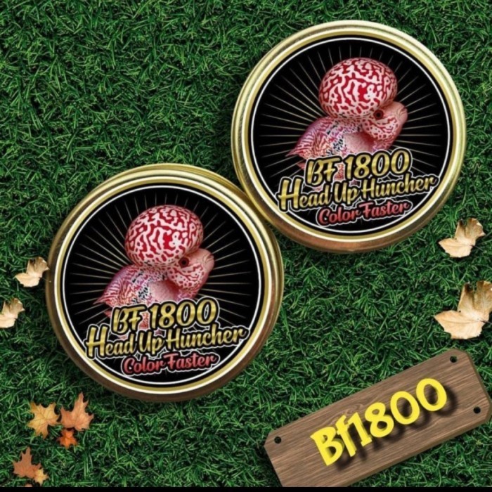 PELET BF 1800 BF1800 STRONG COLLOR WARNA BIG HEAD KOK PAKAN LOUHAN