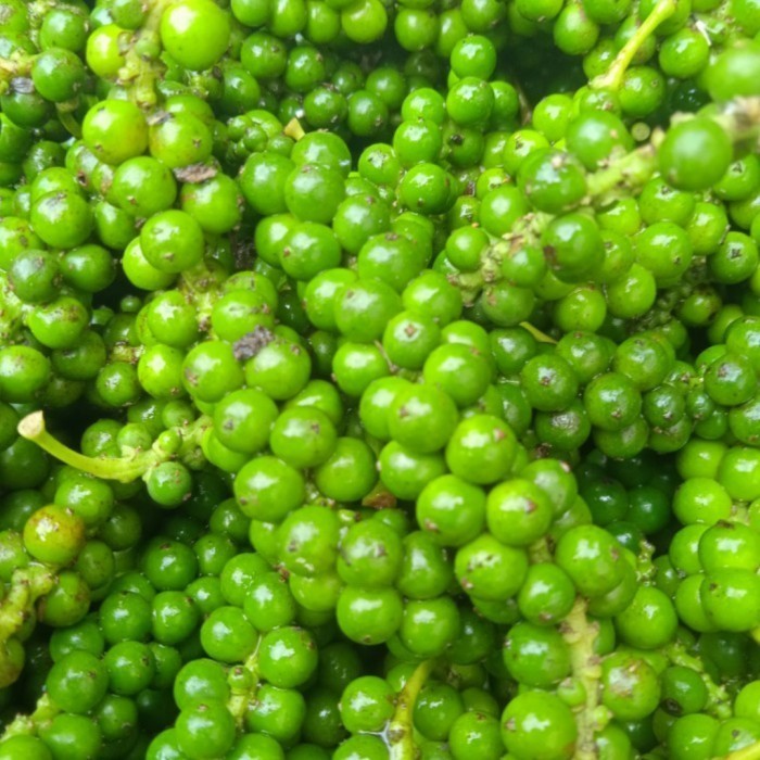 

Lada Hijau Atau Merica Segar Per 1 Kg