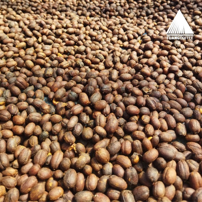 

Roasted Bean Dia Blend Tuang Coffee (Full Arabica) 1Kg