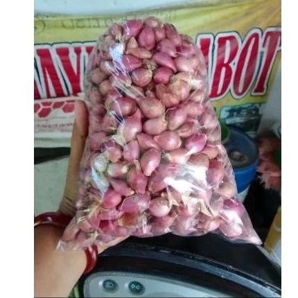 

Bawang merah 1000gram Super Besar Berkualitas