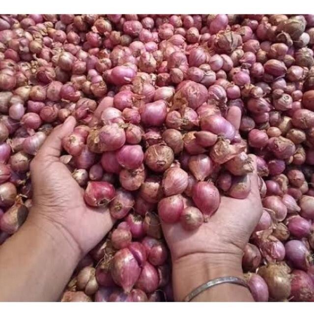 

Bawang merah 250g | Bawang merah nganjuk | Bawang merah lokal 250g Super Besar Berkualitas