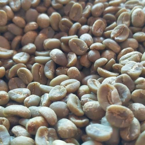 

Ready green Bean - biji kopi arabika luwak liar gayo