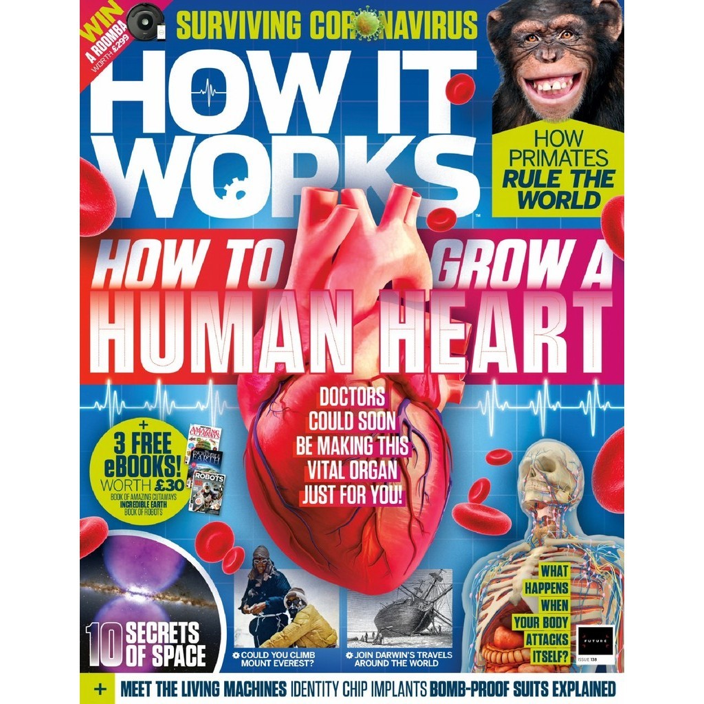 

How It Works - Issue 138 (Sains / D)