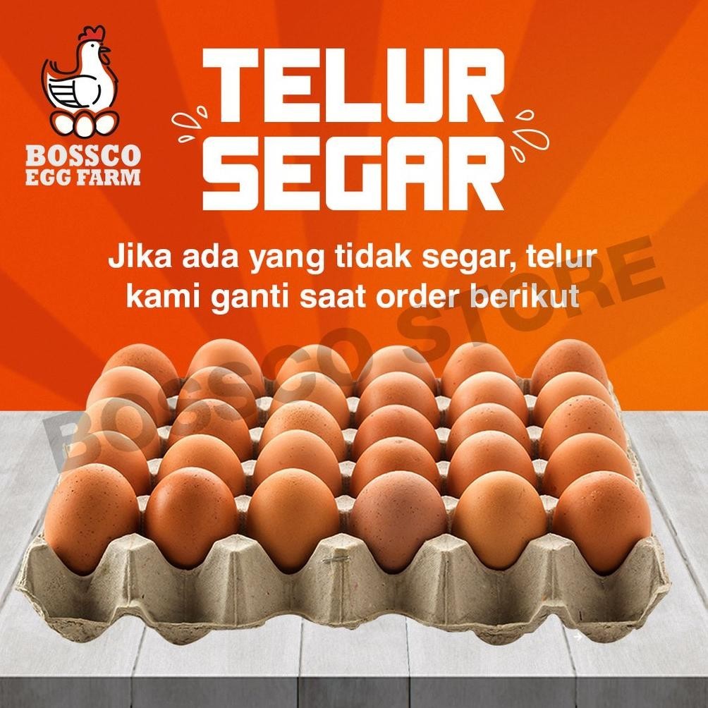 

VEX-2126 Telur Ayam Negri Langsung dari TERNAK AYAM Grade A segar fresh / telor ayam negri telur ayam 1 kg telur ayam per kg telur segar telur seger telur fresh telur ayam premium telor ayam premium telor organik telor omega telur organik telur omega