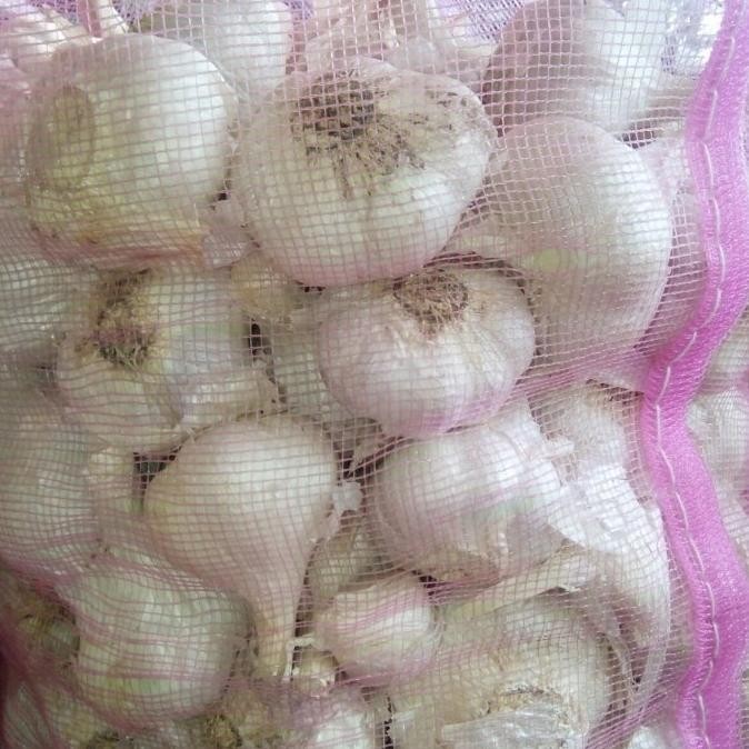 

TERBARU BAWANG PUTIH KATING 1 KILOGRAM !!!!!