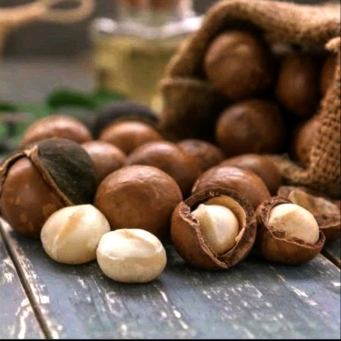 

kacang macadamia panggang 500gr