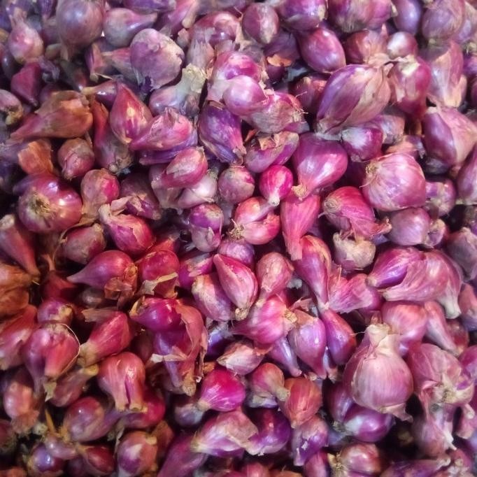 

BIG SALE BAWANG MERAH SUPER (BREBES) 1KG !!!!!