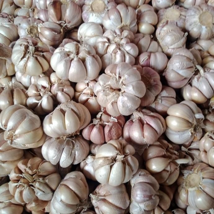 

NEW PRODUK BAWANG PUTIH 1KG !!!!!