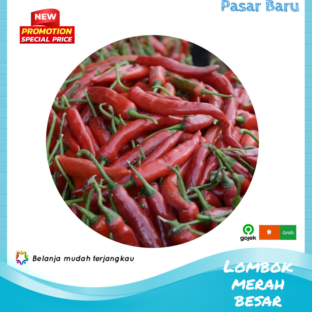 

Lombok Besar Merah • 100gram ✓ Murah | Pasar Baru Makassar