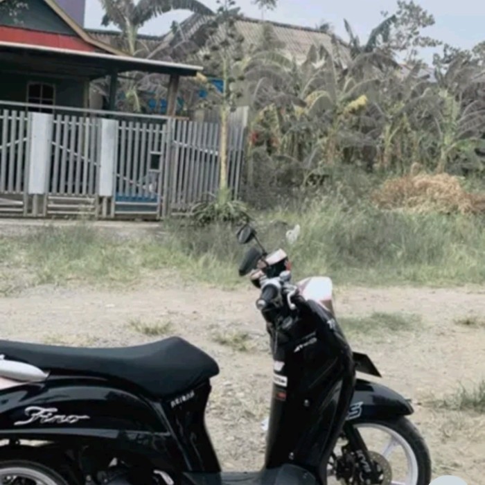 Jok Fino Fi 125 Roadrace