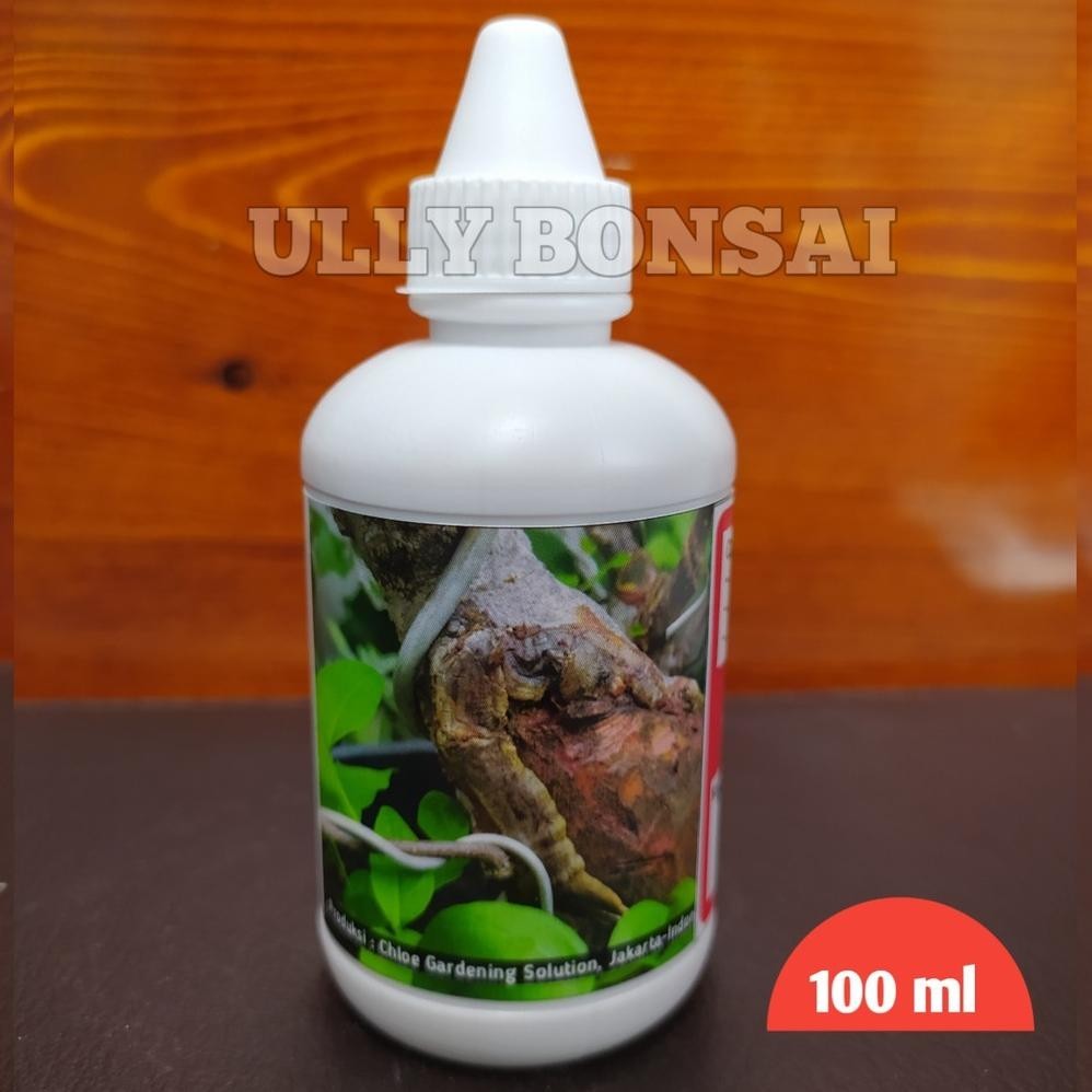 Promo Salep Kambium Premium Quality 100 Ml Zpt Plus Fungisida Khusus Tanaman Hias/Aglonema Murah