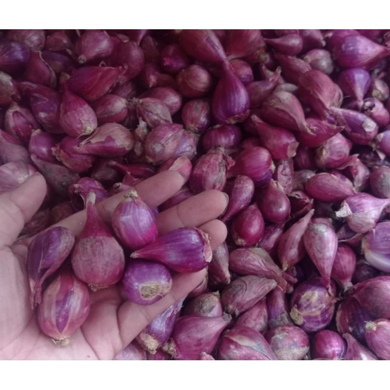 

Bawang Merah Super besar kering 1 kg