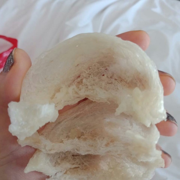 

Sarang Burung Walet 10 Gram