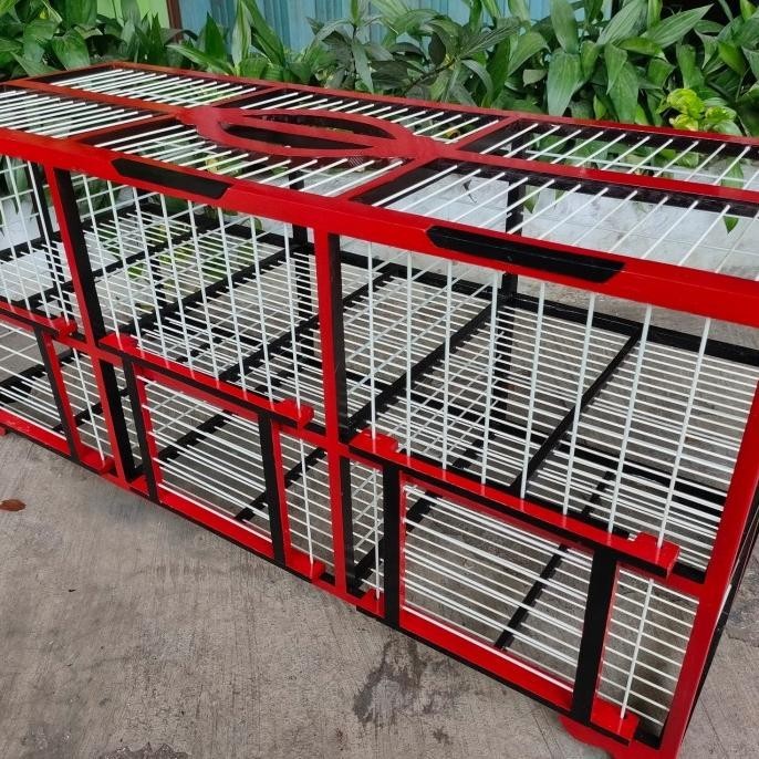 dondang kandang jemur kayu jati fiber ukuran 3 pasang khusus merpati l MRS03