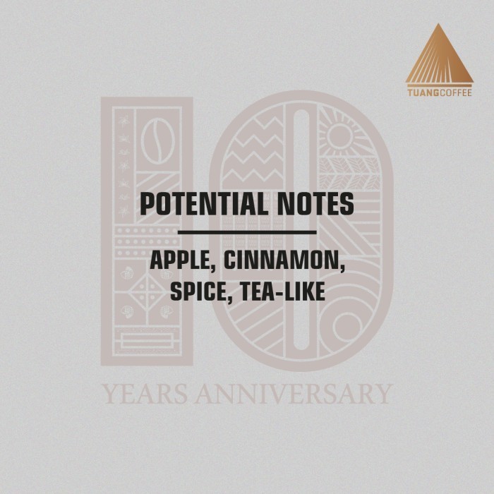 

Green Bean Arabica Black Honey Tuang Coffee Flores Manggarai