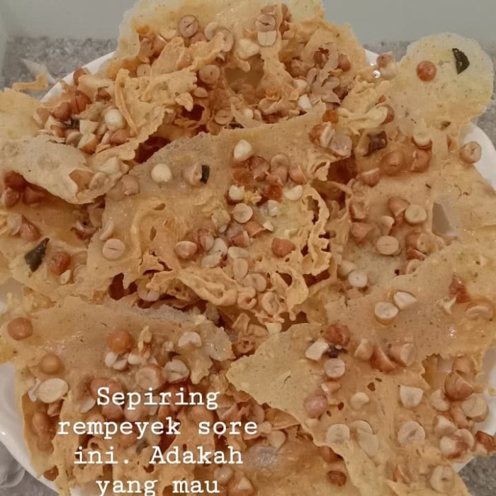 

Rempeyek / Peyek Kacang Tanah, Kacang Hijau, Rebon Teri Toples 5 Liter