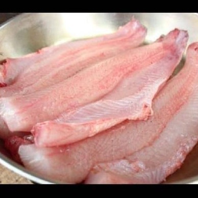 

Ikan Gabus Hidup Fillet Tanpa Kulit 500 Gram