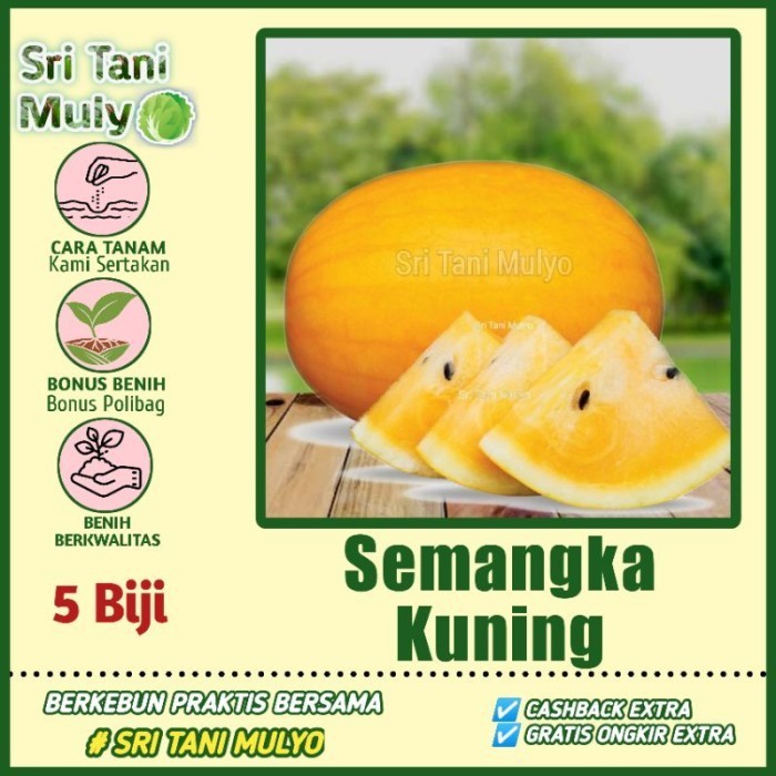 5 Biji - Benih Semangka Kuning Unggul INDEN F1 - Bibit Buah Semangka