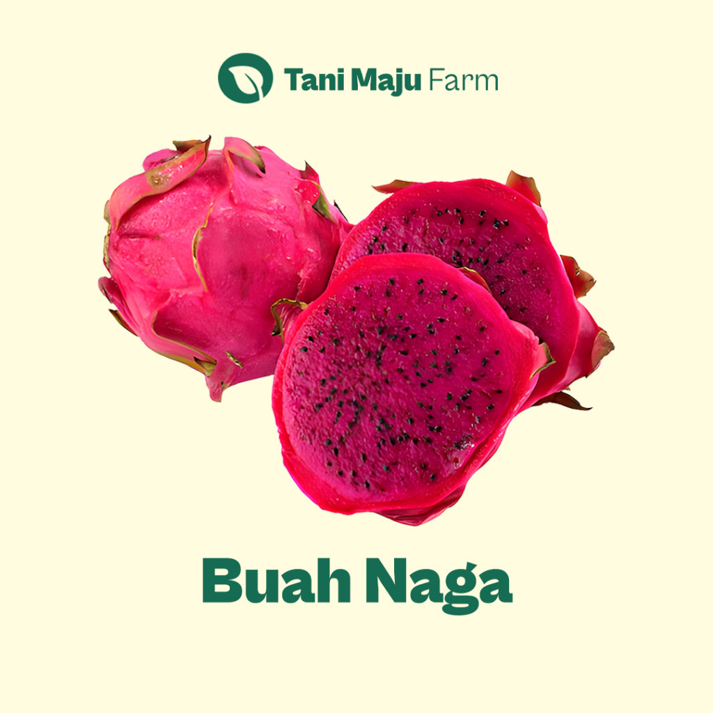 

Buah Naga Dragon Fruit Fresh (1 kg) - Buah