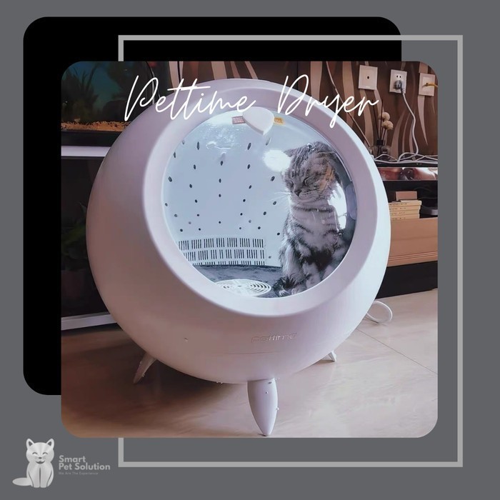 Pettime Pet Cat Drying Box Big Sale