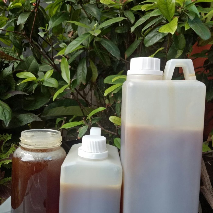

Ready madu hutan sumatra sialang 1kg murni