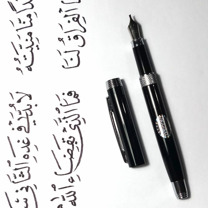 

Ready Fountain pen / IRIDIUM POINT GERMANY