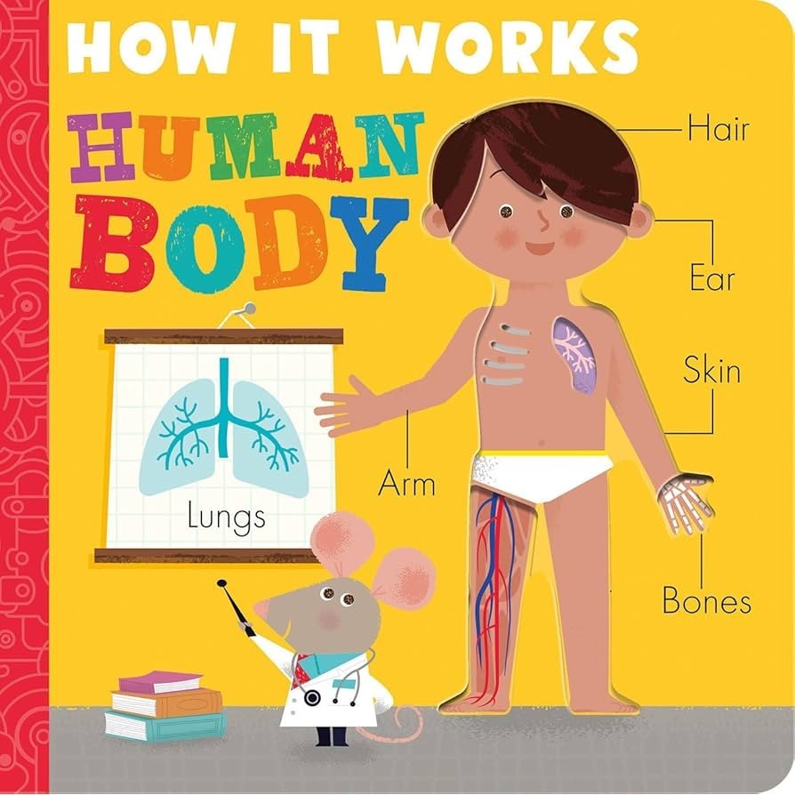 How It Works Human Body Kids Book