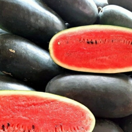 SALE KLIP - 5 BIJI BENIH BIBIT SEMANGKA INUL MERAH UNGGUL