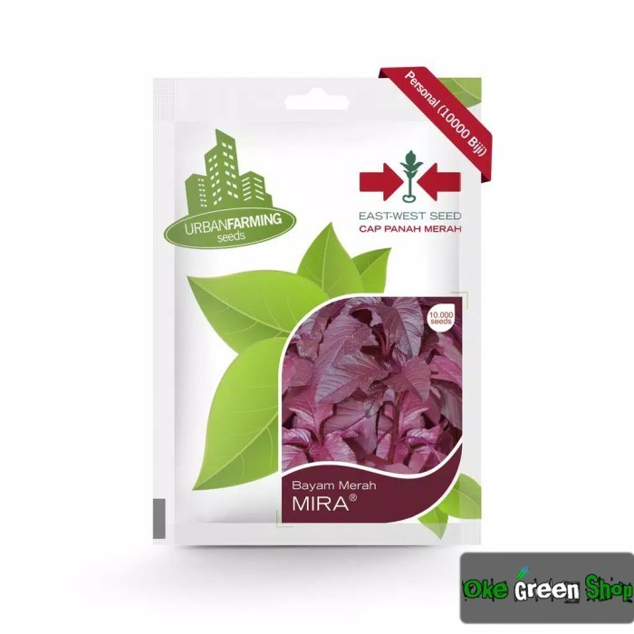 SALE BENIH BIBIT BAYAM MERAH MIRA CAP PANAH MERAH
