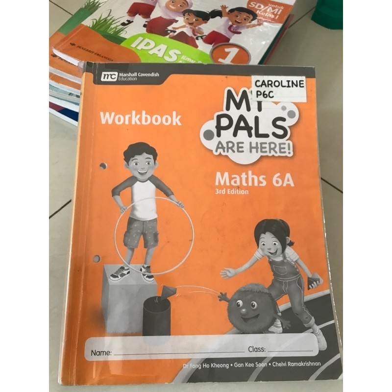 my pals maths 6a 3rd edition