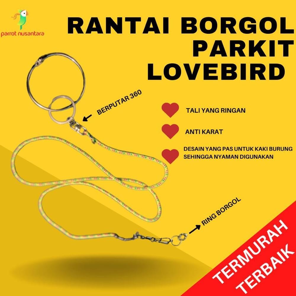 Tali Borgol Burung Parkit Lovebird Burung Kecil (Murmer)
