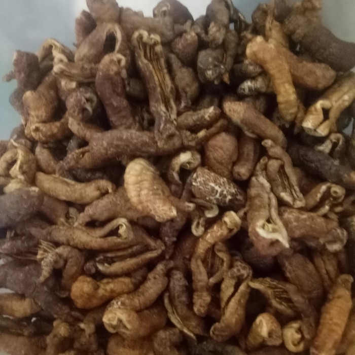 

BOOM SALE keripik teripang 250grm 35000