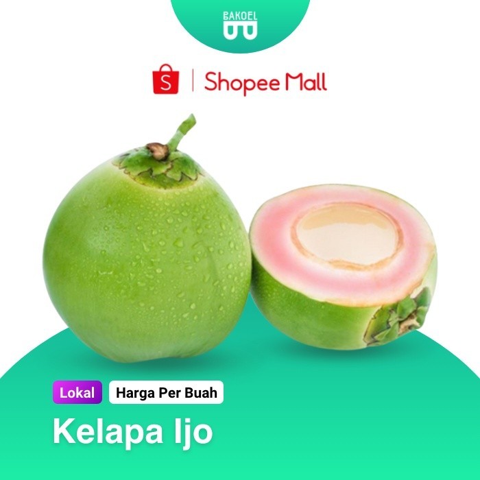 

Kelapa Ijo