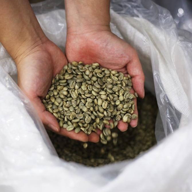 

Luwak Bercinta (Kopi Luwak + Lanang) 200 Gram - Mardika Coffee